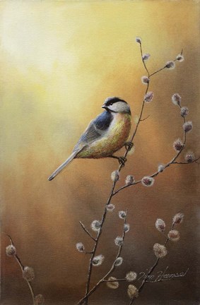 Framed Chickadee Print