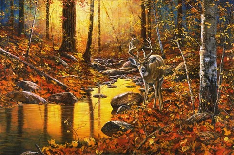 Framed Close Encounter Print