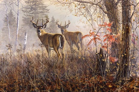 Framed Double Vision Print