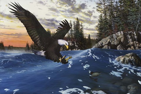 Framed Endangered Moment Print