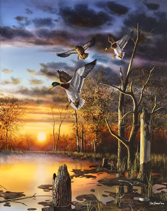 Framed Evening Splendor Print