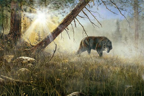 Framed Eyes In The Mist Print