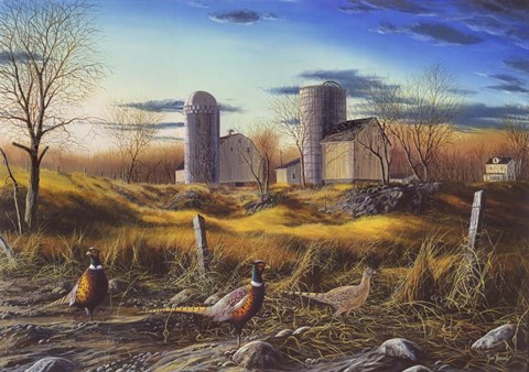 Framed Fenceline Ringnecks Print