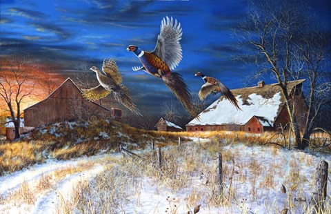 Framed Homestead Print