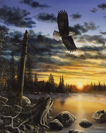 Framed Kings Domain Print