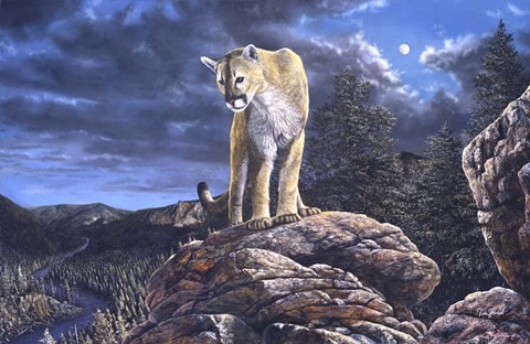 Framed Midnight Watch Print