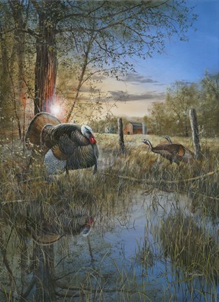 Framed Morning Ritual Print