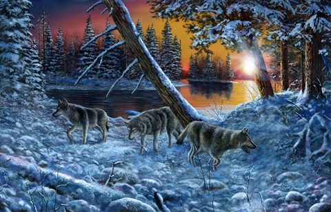 Framed On The Prowl Print