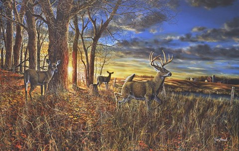 Framed Out For The Evening Print