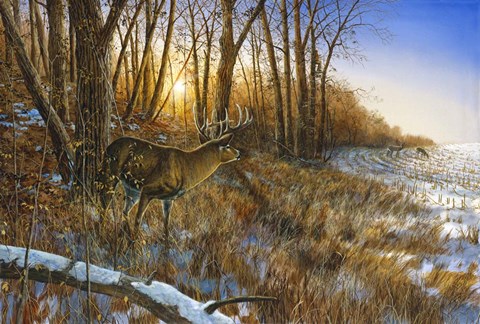 Framed Passing The Buck Print