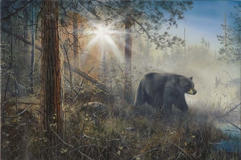 Framed Shadow In The Mist Print