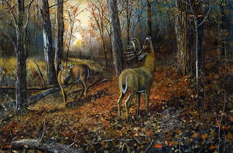 Framed Signs of Autumn Print