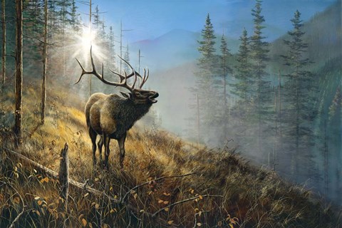 Framed Song in the Mist Print