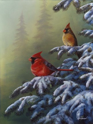 Framed Winter Refuge - Cardinal I Print