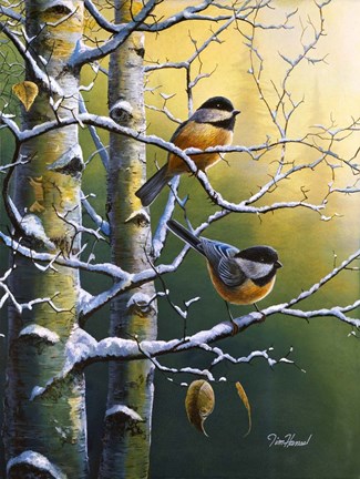 Framed Winter Refuge Chickadees Print