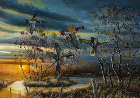 Framed Autumn Splendor Print