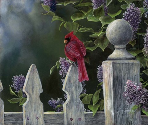 Framed Birds Eye View Print