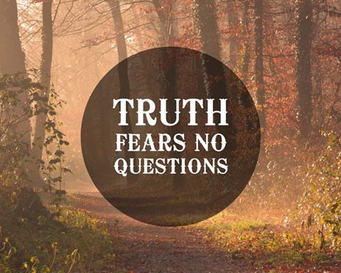 Framed Truth Fears No Questions - Forest Print