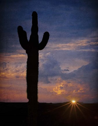 Framed Tequila Sunset Print