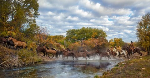 Framed Fall Pasture Roundup Print
