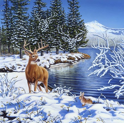 Framed Forest Edge Print