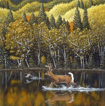 Framed Gentle Companions Print