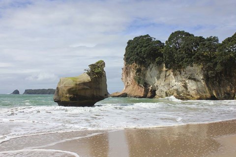 Framed New Zealand Print