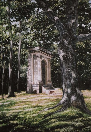 Framed Remnants From The Past Print