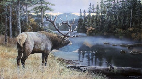 Framed Elk River Print