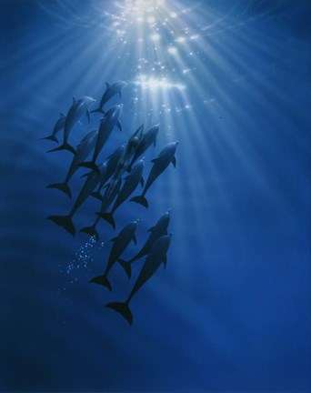 Framed Gathering Print