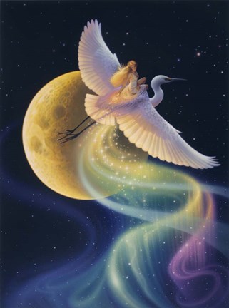 Framed Flight Of The Aurora Print