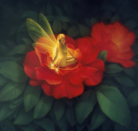 Framed Night Light - N Print