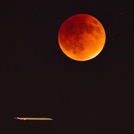 Framed Moonlight Flight Print
