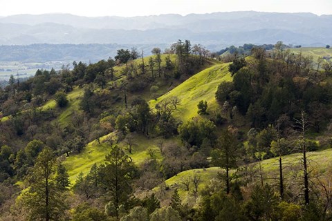 Framed Over the Hill Print