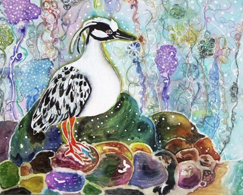 Framed Rainbow Rock Little Heron Print