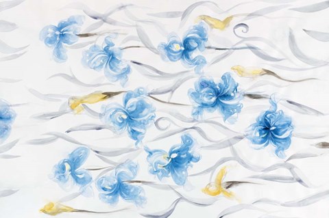 Framed Field of Flowers II Print