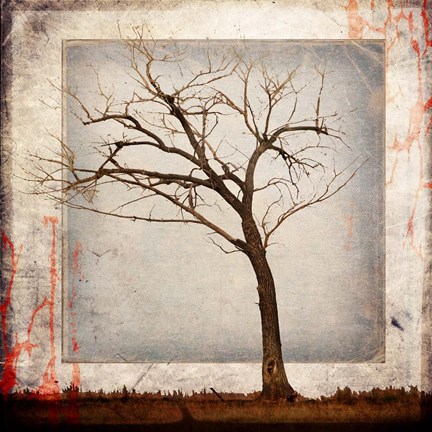 Framed Cottonwood Tree Part 5 Print