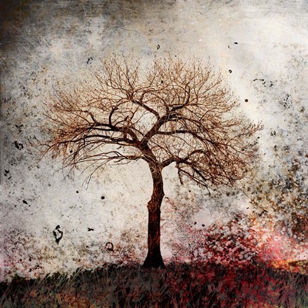 Framed Cottonwood Tree Part 9 Print