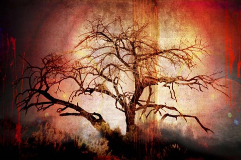 Framed Cottonwood Tree Part 10 Print