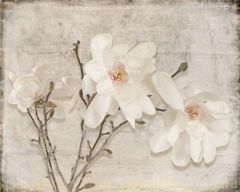 Framed Spring Magnolia Print