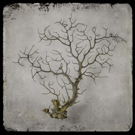 Framed Golden Sea 2 Print