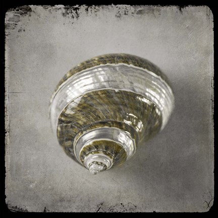 Framed Golden Sea 3 Print