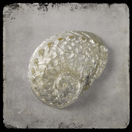 Framed Golden Sea 4 Print