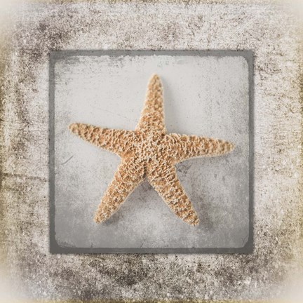 Framed Stone Star Print