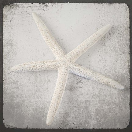 Framed Vintage Natuical Set 2 Print