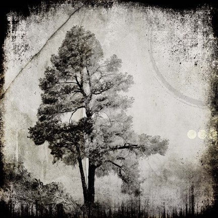 Framed July Tree 12 Print