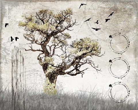 Framed August Tree 3 Print