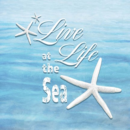 Framed Free Gypsy Sea 1 Print