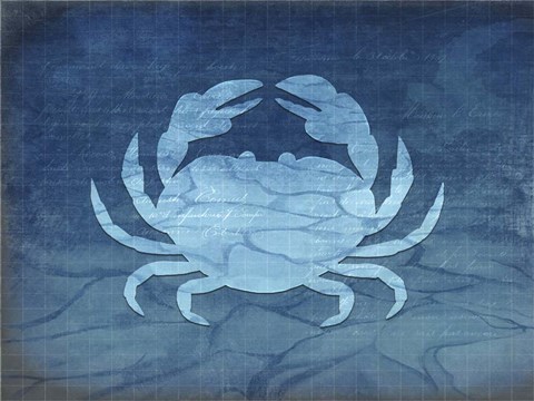 Framed Gypsy Blue Cyanotype V4 Print