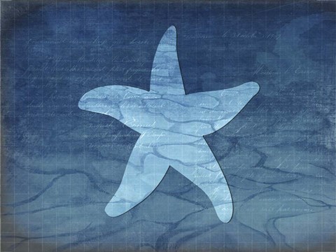 Framed Gypsy Blue Cyanotype V6 Print